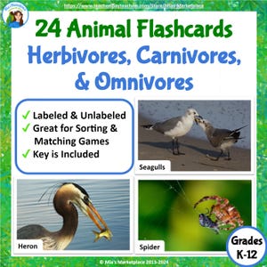 Op de afbeelding: Educatieve flashcards met 24 dierenkaarten, gecategoriseerd op dieet: herbivoren, carnivoren en omnivoren. Bevat afbeeldingen van zeemeeuwen, een reiger en een spin. Ontworpen voor de klassen K-12.