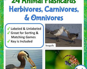 Herbivores, Carnivores, and Omnivores Flashcards & Animal Sorting Activities