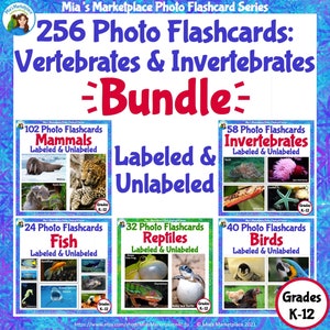 256 Animal Photo Flashcard Mega-Bundle: Vertebrates and Invertebrates