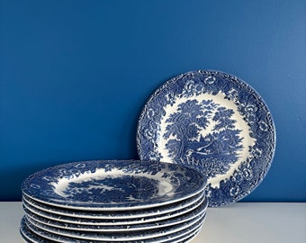 Service 9 pieces assiettes anglaise décor campagne bleu et blanc vintage