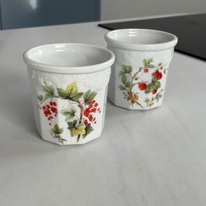 Peut inclure: Deux pots en céramique blanche avec un motif floral de baies rouges et de feuilles vertes. Les pots ont un bord légèrement évasé et un motif texturé sur le dessus. Ces pots sont probablement à usage décoratif.