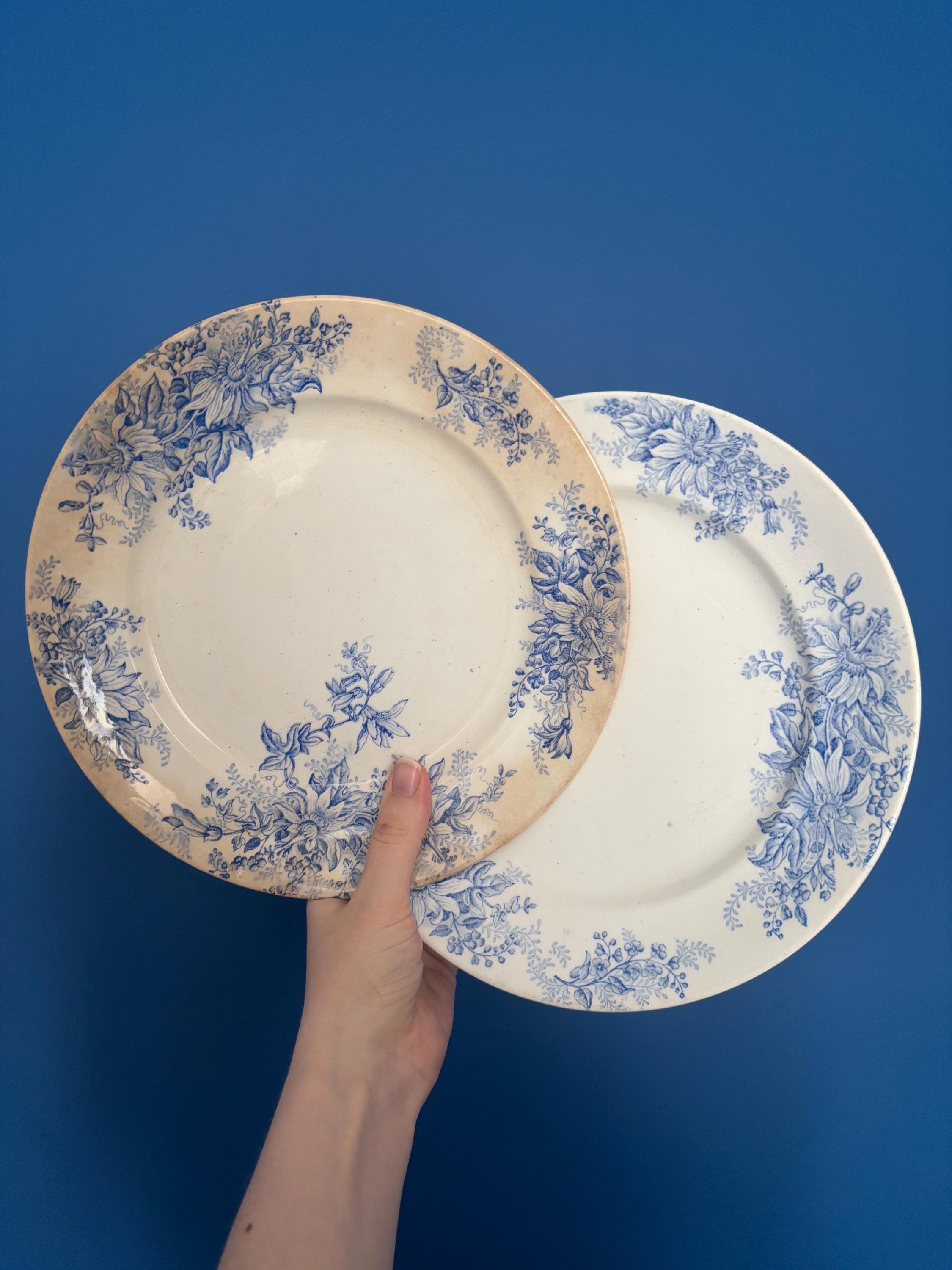 French Antique Faience Plates - Etsy Canada