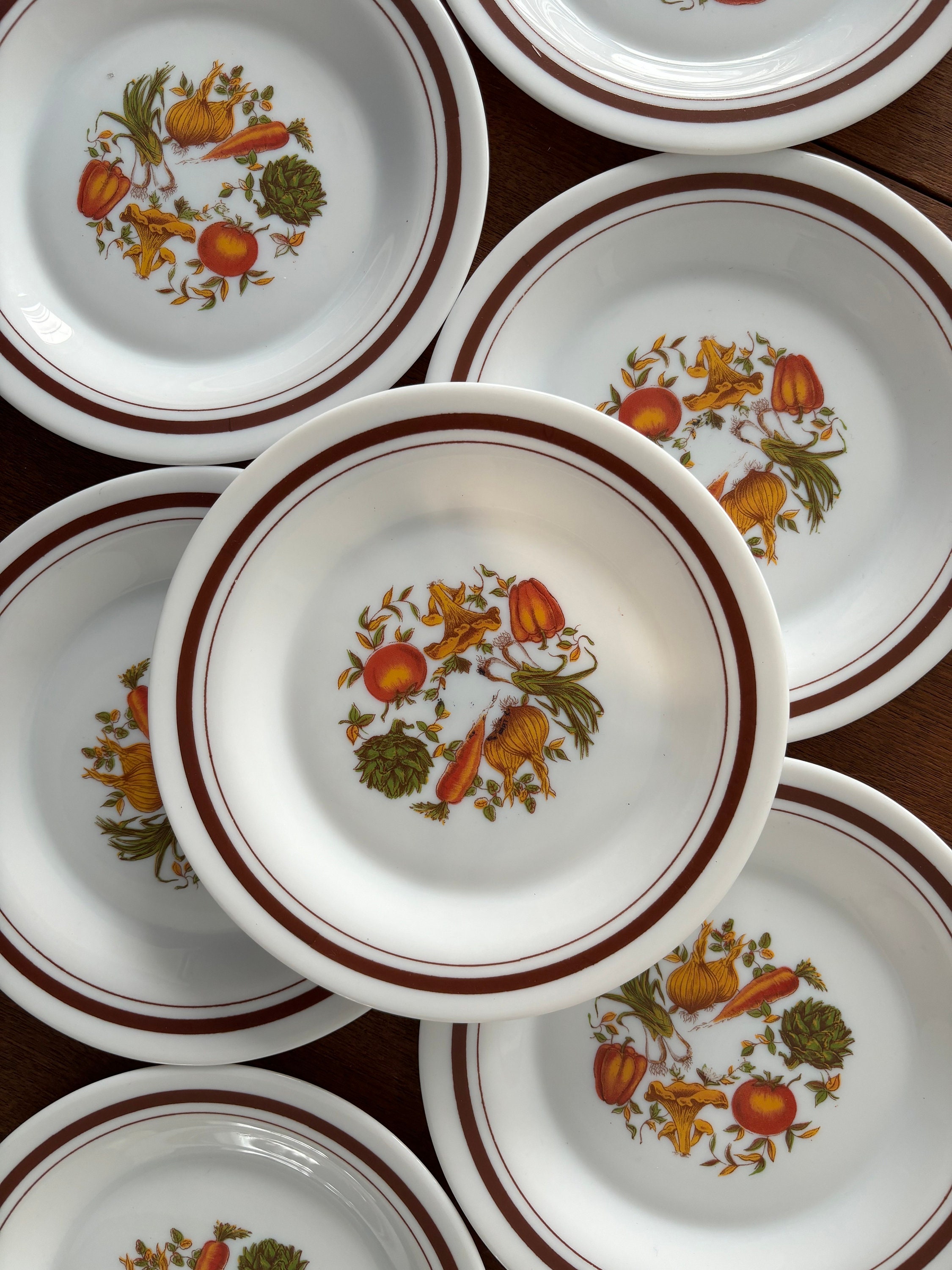 arcopal アルコパル フランス製 スーププレート 皿 6枚セット フランス＊アルコパル ミルクガラスプレート＆スープ皿 | 雑貨と