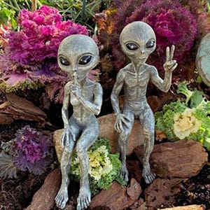 Könnte beinhalten: Zwei graue Alien-Statuen, eine mit einem Finger an den Lippen, die andere mit einem Friedenszeichen. Die Statuen stehen inmitten von lila und grünen Pflanzen und braunen Felsen und schaffen eine skurrile Gartenszene.