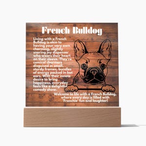Nachtlampje lamp voor Franse bulldog minnaar cadeau, woonaccessoires met led-licht voor hondenliefhebbers, nachtverlichting display cadeau voor huisdier ouders