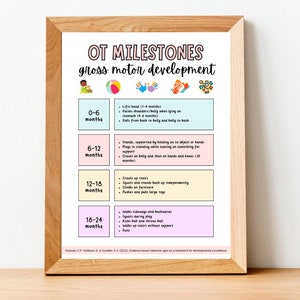 May include: A chart with a pink, blue, yellow, and light purple background. The chart lists developmental milestones for gross motor skills in babies from 0-6 months, 6-12 months, 12-18 months, and 18-24 months. The chart includes illustrations of a baby, a ball, hands, and a toy.