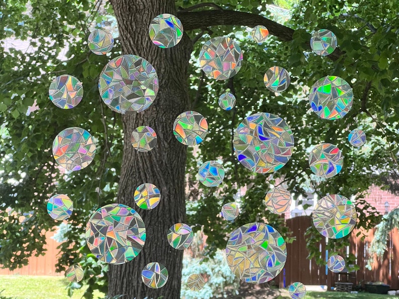 May include: A tree with iridescent, circular stickers attached to its branches. The stickers are made of a reflective material that creates a rainbow effect.