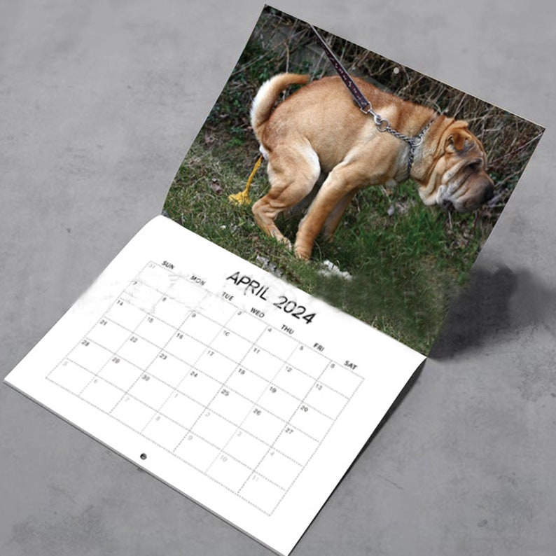 2024 Dog Poop Calendar Funny Gift Exchange Curious Calendar Etsy