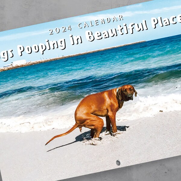 2025 Dogs Poop Calendar Etsy