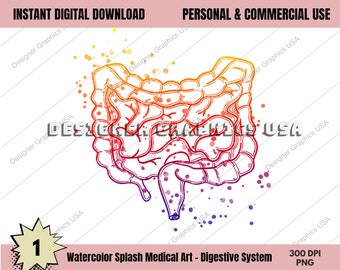 Sistema Digestivo Anatomia Médica Humana PNG Impressão de Arte Arte de Parede Impressão em Aquarela Médica Decoração de Anatomia Anatômica Digital Impressões de Arte Médica