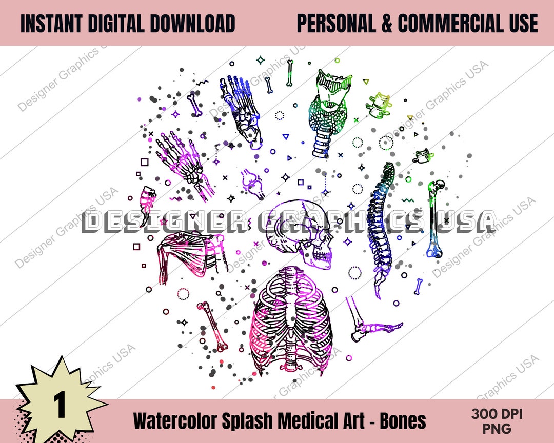 Bones Art Human Medical Anatomy PNG Art Body Print Wall Art Medical