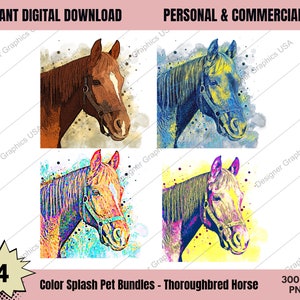 Thoroughbred Horse PNG,Thoroughbred Horse Potrait,Digital Painting,Watercolor Thoroughbred Horse Art,Pop Art,Commercial USE,Paint Splash