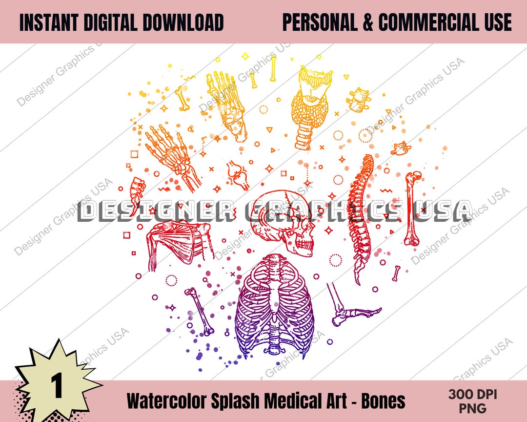 Bones Art Human Medical Anatomy PNG Art Body Print Wall Art Etsy