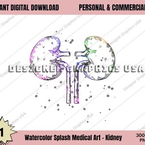 Kidneys PNG, Watercolor Kidneys Art PNG Human Medical Anatomy PNG Medical Watercolor Print Anatomy Decor Anatomical Digital Medical Art
