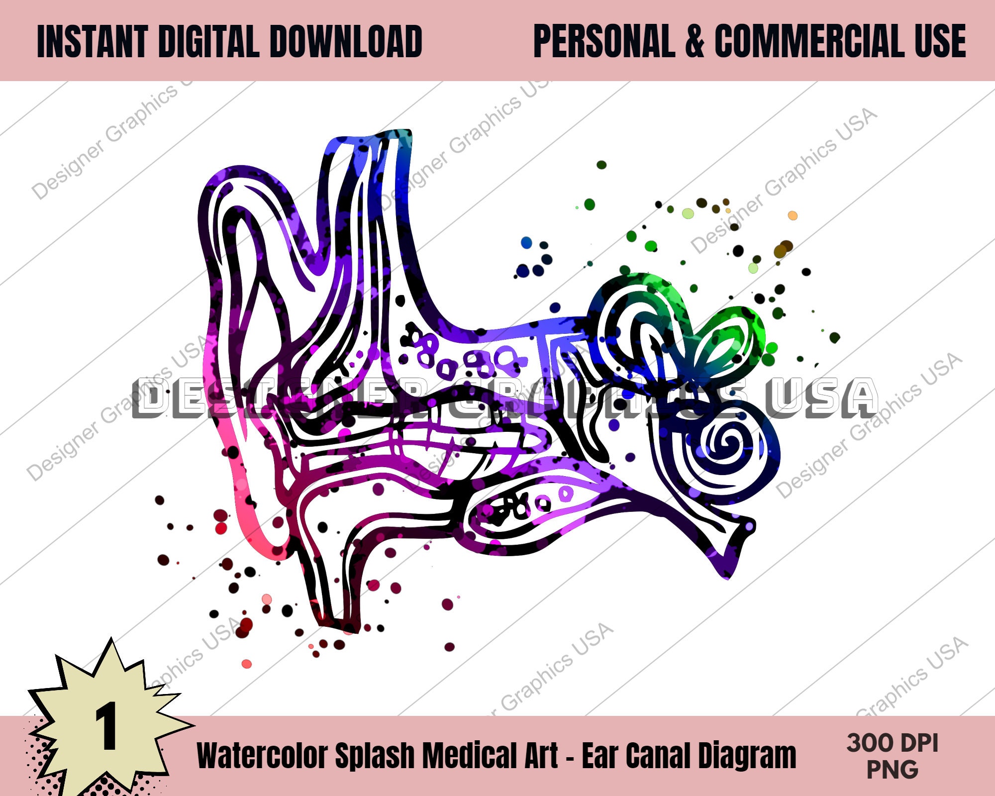Ear Canal Art PNG Human Medical Anatomy PNG Art Print Wall Art Medical ...