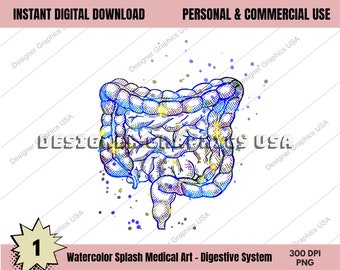 Sistema Digestivo Anatomia Médica Humana PNG Impressão de Arte Arte de Parede Impressão em Aquarela Médica Decoração de Anatomia Anatômica Digital Impressões de Arte Médica