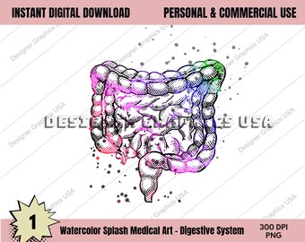 Sistema Digestivo Anatomia Médica Humana PNG Impressão de Arte Arte de Parede Impressão em Aquarela Médica Decoração de Anatomia Anatômica Digital Impressões de Arte Médica