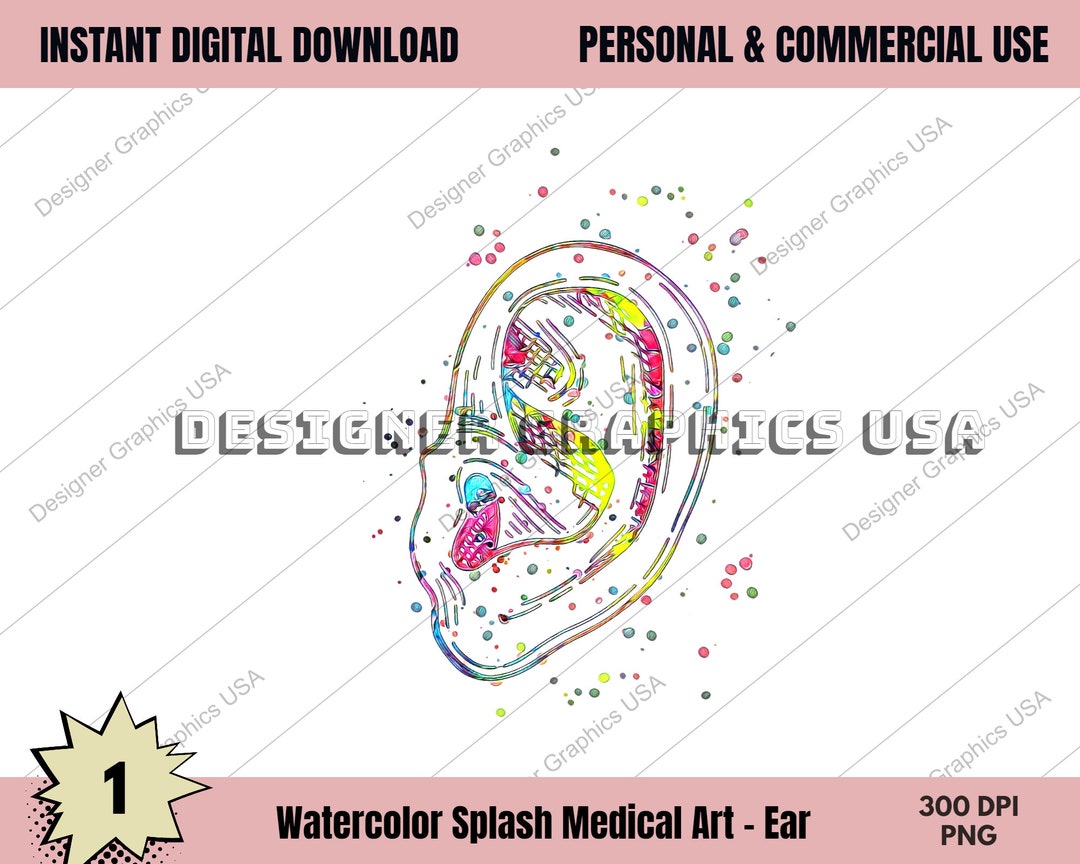 Ear Art PNG Human Medical Anatomy PNG Art Print Wall Art Medical ...