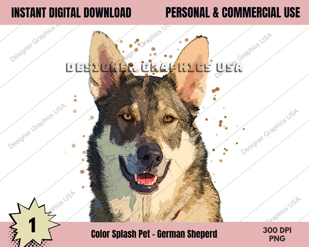 German Shephard PNG, German Shephard Dog PNG, German Shephard