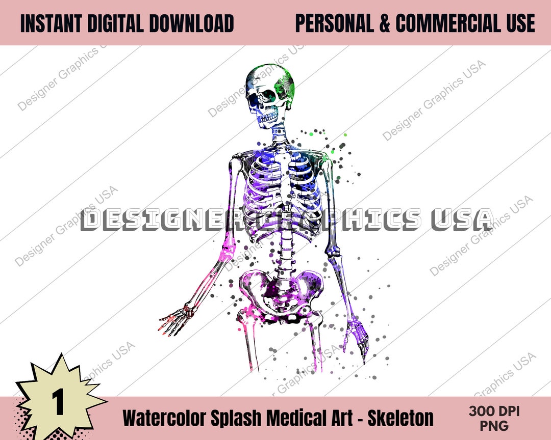 Skeleton Art Human Medical Anatomy PNG Art Body Print Wall Art Medical ...