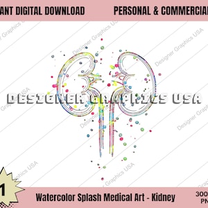 Kidneys PNG, Watercolor Kidneys Art PNG Human Medical Anatomy PNG Medical Watercolor Print Anatomy Decor Anatomical Digital Medical Art