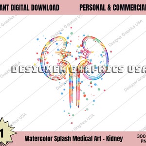 Kidneys PNG, Watercolor Kidneys Art PNG Human Medical Anatomy PNG Medical Watercolor Print Anatomy Decor Anatomical Digital Medical Art
