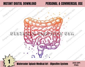 Sistema Digestivo Anatomia Médica Humana PNG Impressão de Arte Arte de Parede Impressão em Aquarela Médica Decoração de Anatomia Anatômica Digital Impressões de Arte Médica
