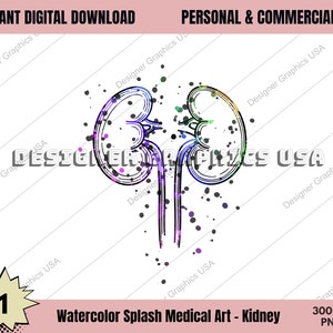 Kidneys PNG, Watercolor Kidneys Art PNG Human Medical Anatomy PNG Medical Watercolor Print Anatomy Decor Anatomical Digital Medical Art