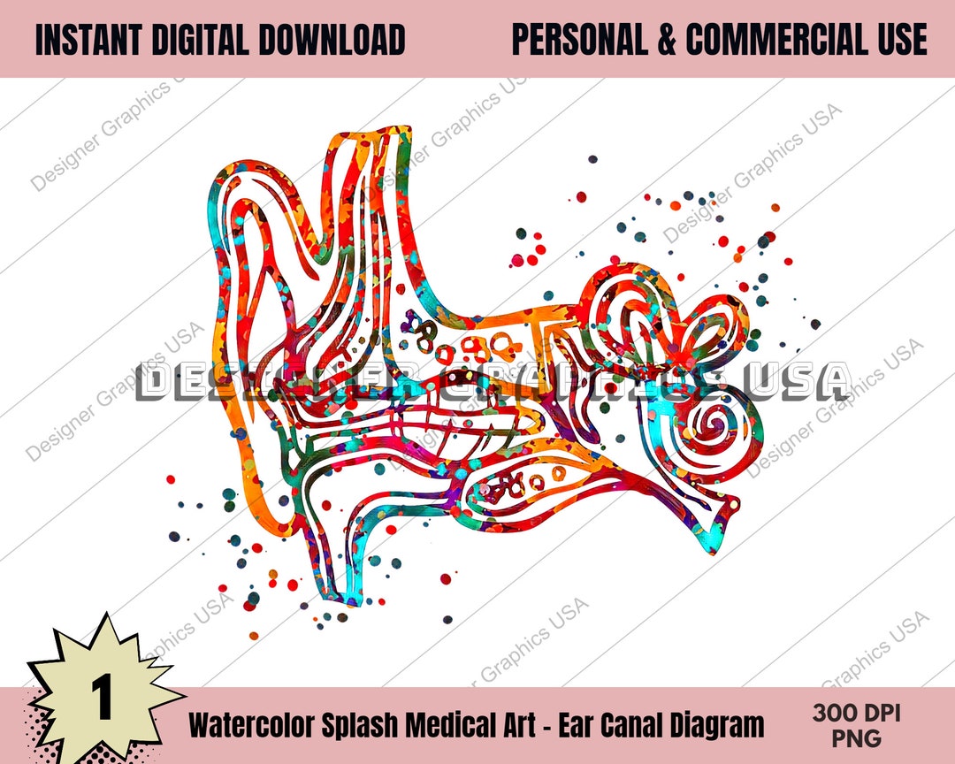 Ear Canal Art PNG Human Medical Anatomy PNG Art Print Wall Art Medical ...