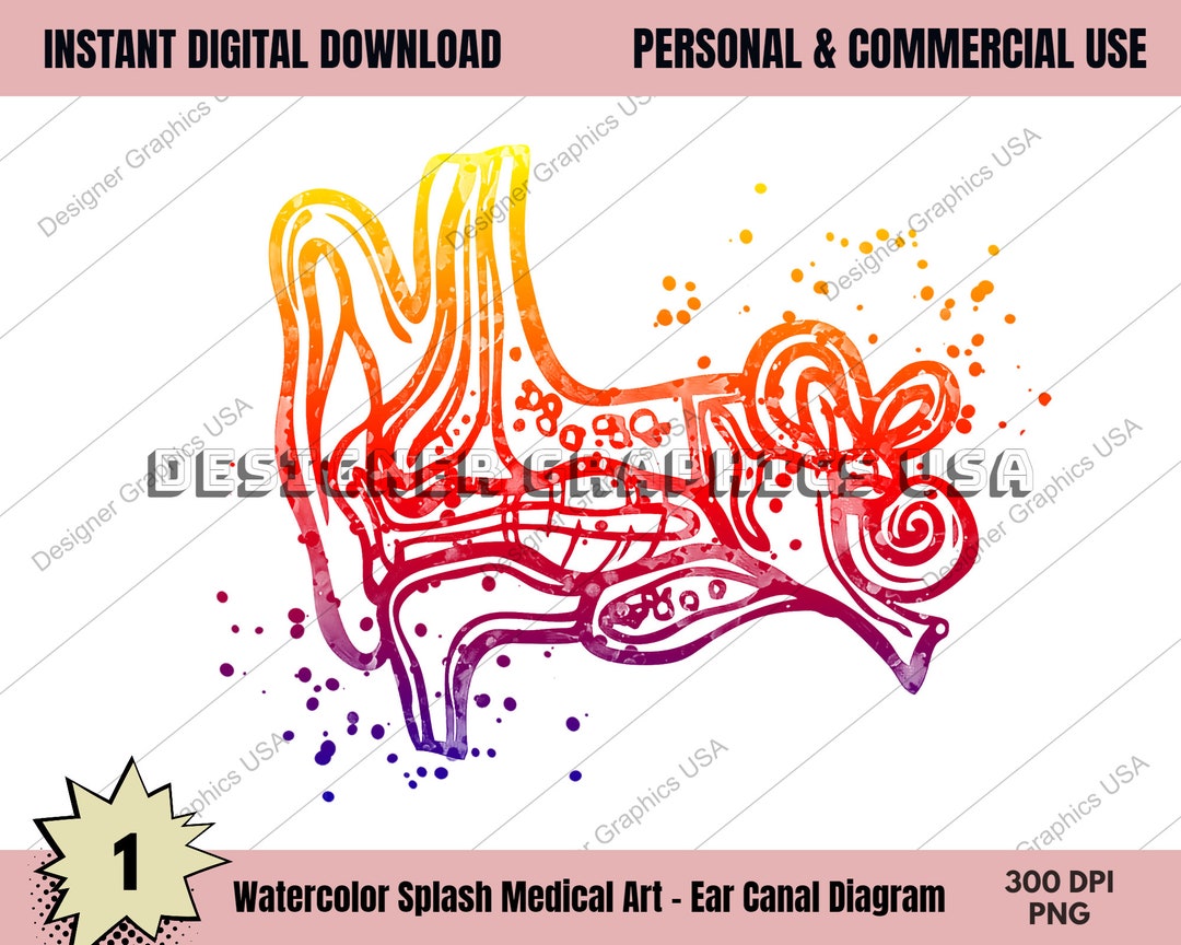 Ear Canal Art PNG Human Medical Anatomy PNG Art Print Wall Art Medical ...
