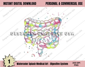 Sistema Digestivo Anatomia Médica Humana PNG Impressão de Arte Arte de Parede Impressão em Aquarela Médica Decoração de Anatomia Anatômica Digital Impressões de Arte Médica