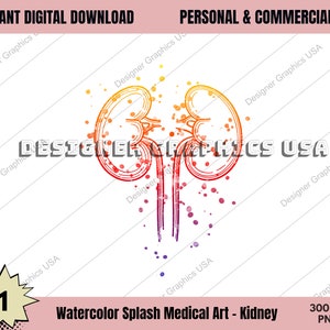 Kidneys PNG, Watercolor Kidneys Art PNG Human Medical Anatomy PNG Medical Watercolor Print Anatomy Decor Anatomical Digital Medical Art