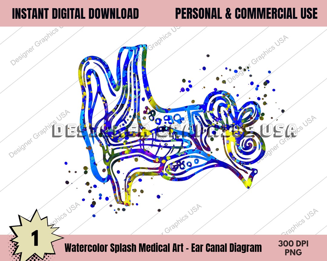 Ear Canal Art PNG Human Medical Anatomy PNG Art Print Wall Art Medical ...