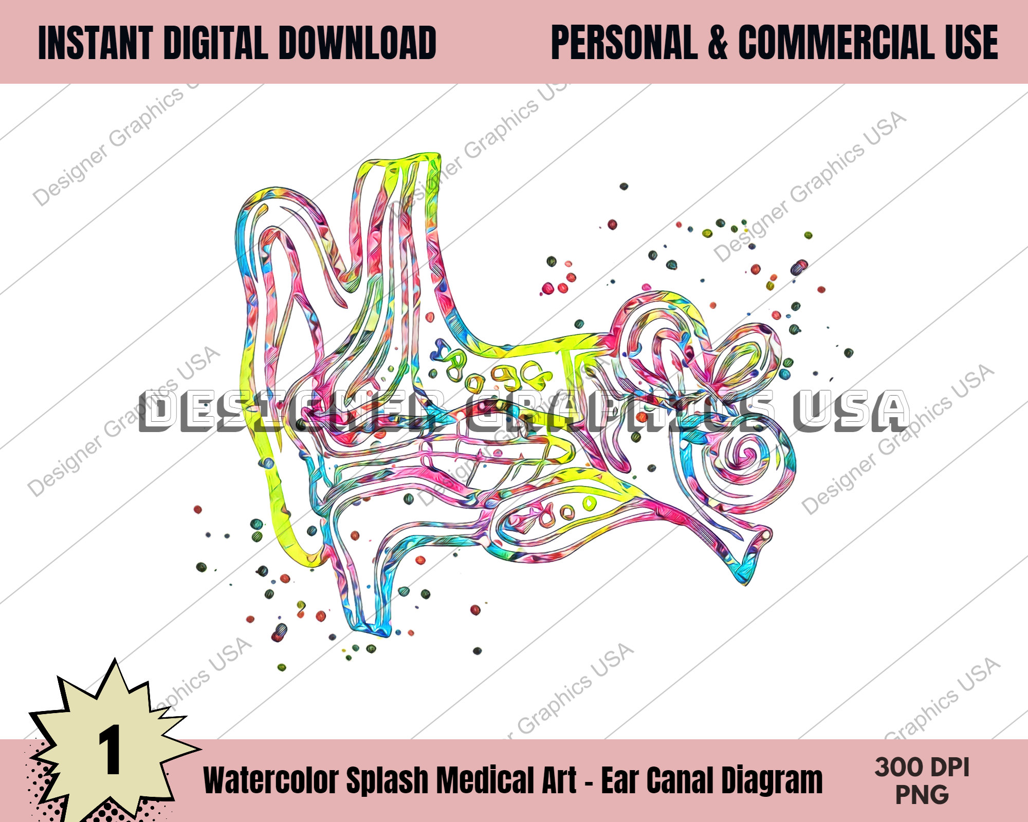 Ear Canal Art PNG Human Medical Anatomy PNG Art Print Wall Art Medical ...