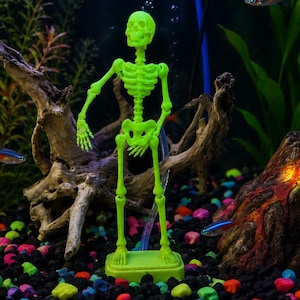 Op de afbeelding: Een neon-groen plastic skeletfiguur dat op een rechthoekige voet in een aquarium staat. Het skelet is geplaatst tussen drijfhout, kleurrijk grind, een vulkaanornament en verschillende kleine neon tetra vissen die in het water zwemmen.