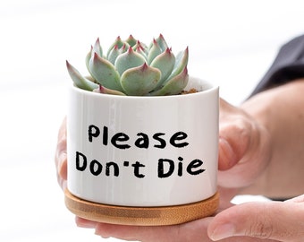 Mini Ceramic Flower Pot with a Wooden Base  | "Please don't die" Planter, best gift for students,  working space, gift for plant lovers