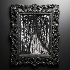 May include: A black and white painting of a birch tree forest in a black ornate frame.