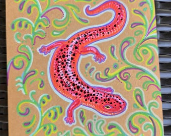 Dibujo original de salamandra tritón roja en cartulina de 6x6 pulgadas.