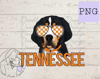 May include: A black and white dog wearing orange and white checkered sunglasses with the word "TENNESSEE" in orange text.