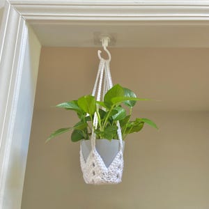 May include: A white macrame plant hanger with a gray pot holding a green leafy plant. The plant hanger is suspended from a white hook attached to the ceiling. The plant has vibrant green leaves.