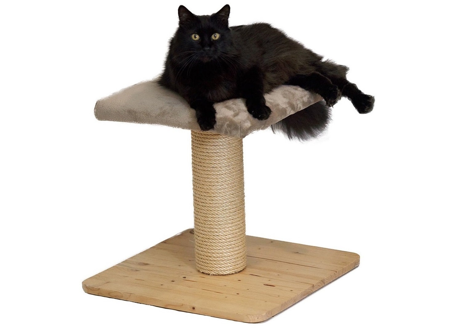 Arbre À Chat Kawaï