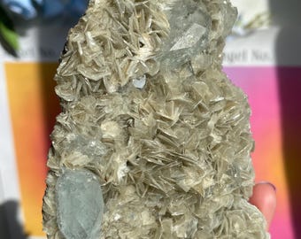 Mount Xuebaoding Aquamarine on Muscovite | Chinese Beryl on Mica | Natural Collector’s Crystal Specimen for Display & Mineral Collections