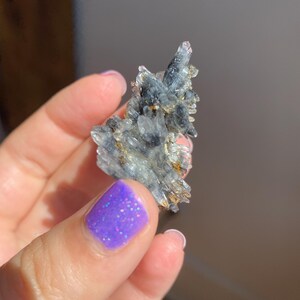May include: A cluster of blue kyanite crystals with gold accents. The crystals are held in a hand with a purple glitter nail polish. The kyanite has a layered, textured appearance, with sharp, pointed formations.