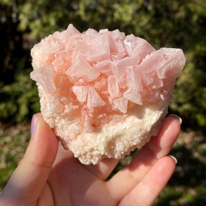Peut inclure: Un gros amas de cristaux de sel rose de l'Himalaya avec une surface rugueuse et texturée. Le cristal est de couleur rose clair et a une forme naturelle et organique.