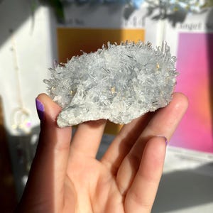 May include: A cluster of clear quartz crystals with a rough, textured base. The crystals are tightly packed, creating a spiky appearance. Hints of gold are visible within the crystal formation. The quartz is held in a hand with a purple painted nail.