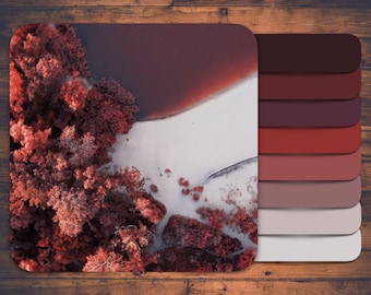 Paleta de colores procrear, púrpura y rosa