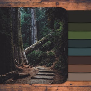 Procreate palette, forest colors