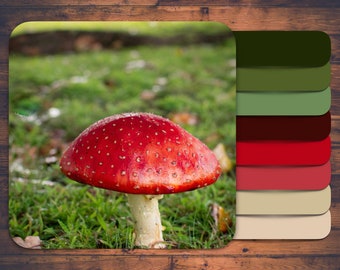 Creëer een kleurenpalet, rode en groene paddenstoel