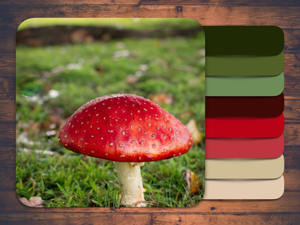 Procreate Color Palette, Red and Green Mushroom - Etsy