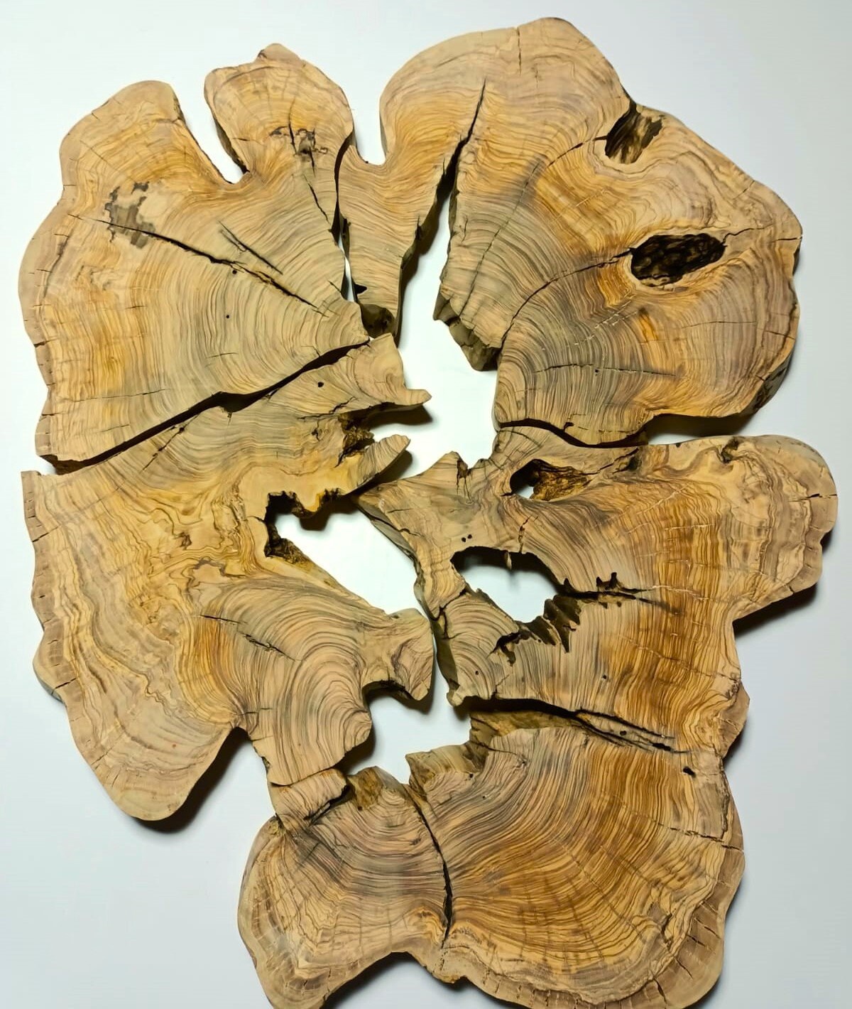 10 Inch X 1 Inch Willow Wood Slice 